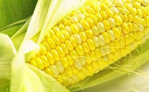 剝玉米作文600字(精選20篇)