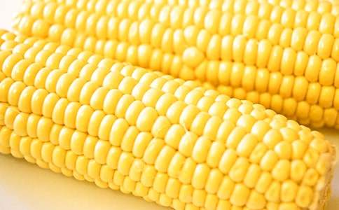 觀察種玉米作文