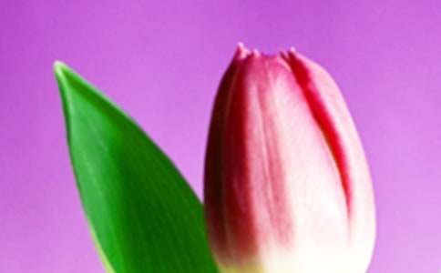 ��������������ģ�ͨ��20ƪ��