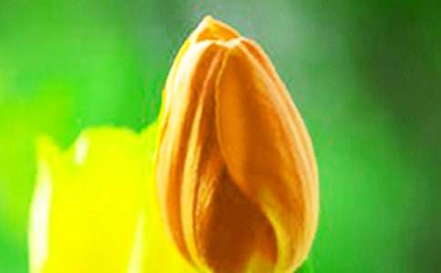 �^��ֲ������������