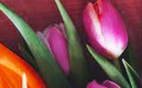 玫瑰花和郁金香四年級(jí)作文400字