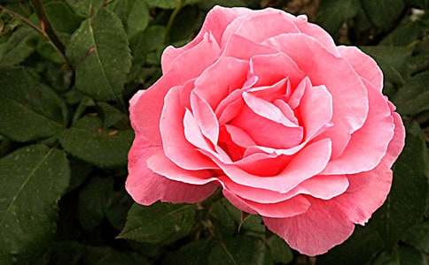 �������¼����@����