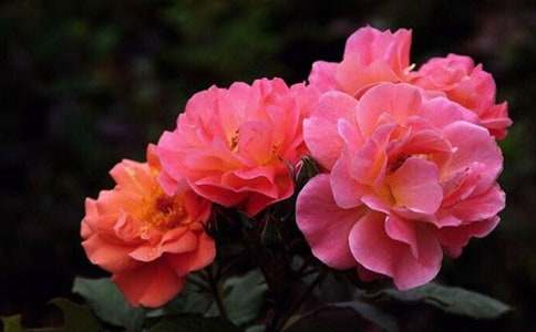 С�^(q��)����¼�С�W(xu��)����