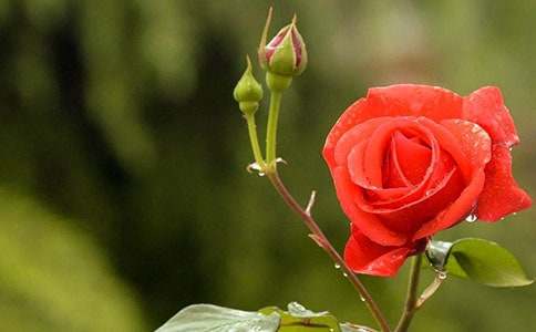 �^���¼�����