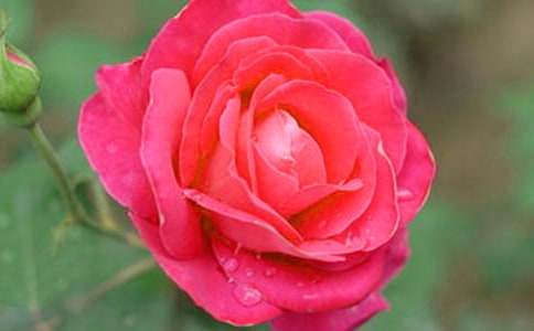 �^���¼������ģ����x19ƪ��