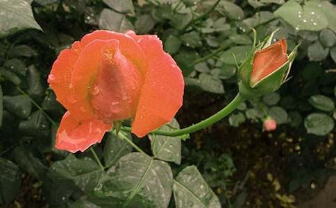 �¼�������200�֣����x113ƪ��