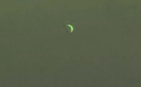 �茑�����������~�Z�����x80����