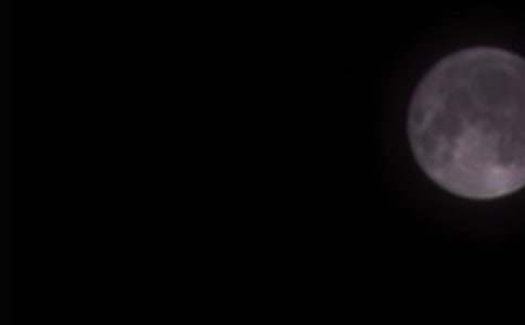 �A�ˈF�A����500��