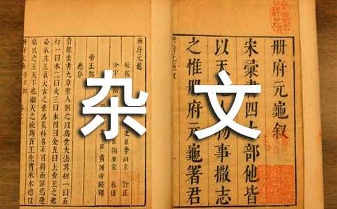 水調(diào)歌頭雜文