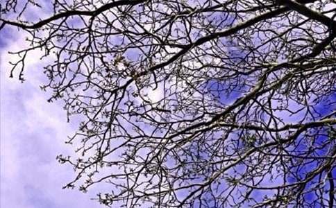 ���]�����簲���Z��ȫ180��