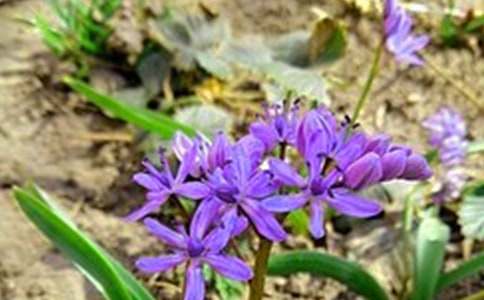 暖心早安寄語(yǔ)匯總190句精選