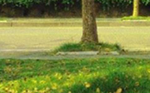 �����á�2025���簲�������΢�ŅR��58�l