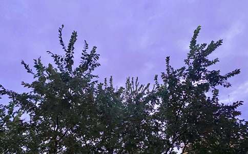 常用早安寄語大全(精選125句)