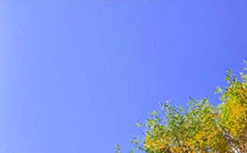 ��Ҋ�簲���Z�R��185�侫�x