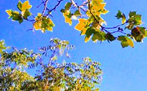 ���]����Ȧ�簲���Z��ȫ�����x60�䣩