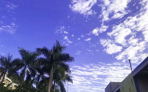 常用溫馨早安寄語匯總(精選95句)