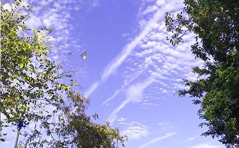 簡單朋友圈早安寄語大全120句