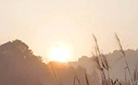 ���P(gu��n)�����簲���Z�R����ͨ��145�䣩