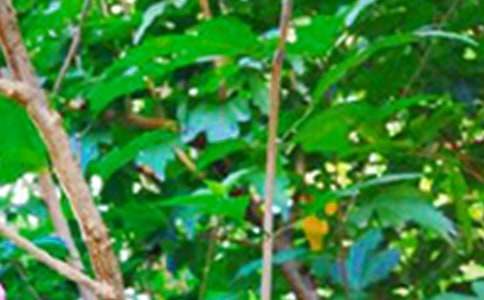 ���P(gu��n)�簲���Z(y��)�R��150�侫�x