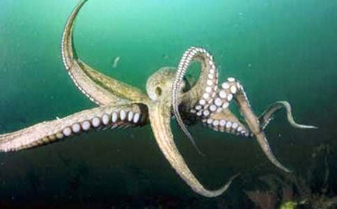 ���~(y��)�ҹ�������400��