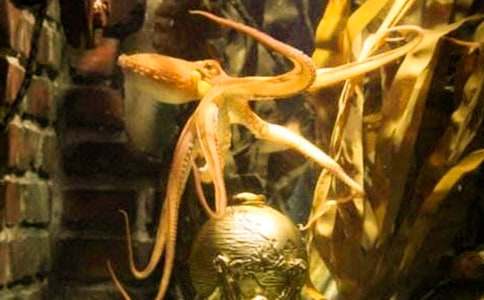 ��(xi��)��ӛ�����~(y��)��������800��