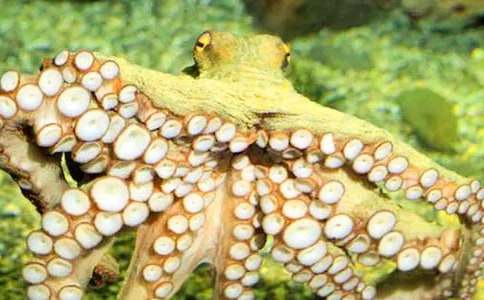 С���~�ݎ����꼉����