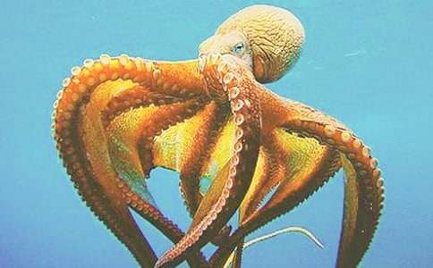 ���~�����ҽ�B����