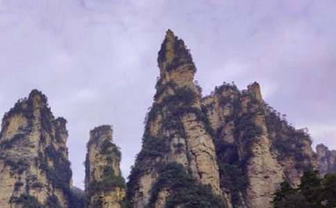 游張家界國(guó)家森林的作文