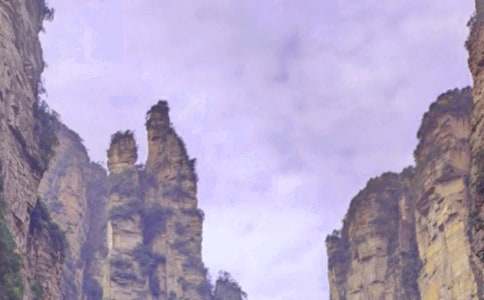 �y���ď��ҽ�֮�Ѓ�(y��u)������