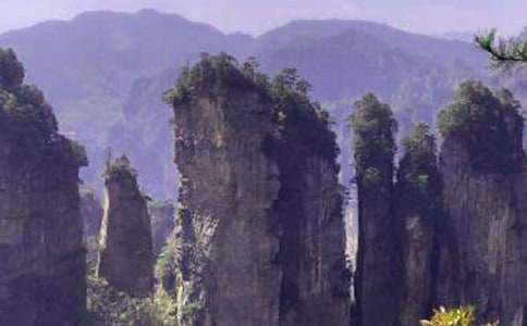 �Ώ��ҽ�ɭ�ֹ��@_����