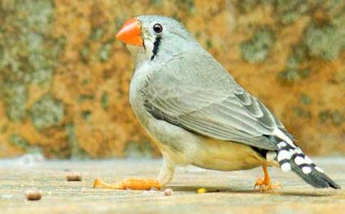 �����B�̌W(xu��)��˼��ͨ��10ƪ��