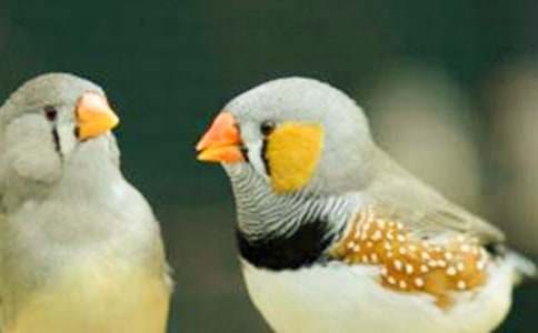 �����B�̌W(xu��)��˼����