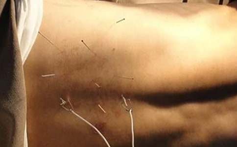 2017���t(y��)��(zh��)�I(y��)�t(y��)��ᘾČW���c����̫ꖰ��׽�(j��ng)Ѩ