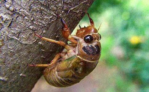 ׽֪�˵�С�W(xu��)����300��