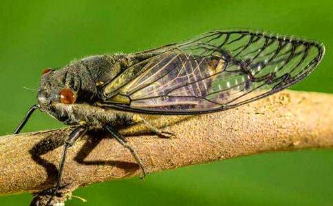 С�W(xu��)��ץ֪��Ӽ���ģ����x22ƪ��