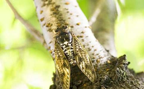 ֪�ˌW(xu��)�w����400��