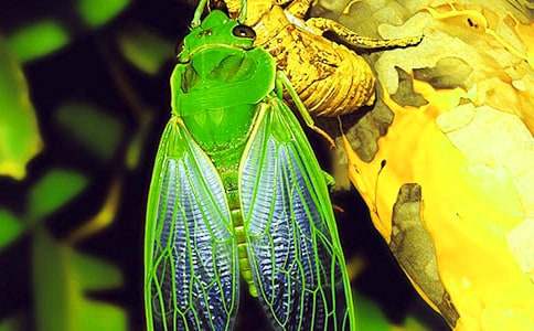 ֪�ˌW(xu��)�w����600����ƪ