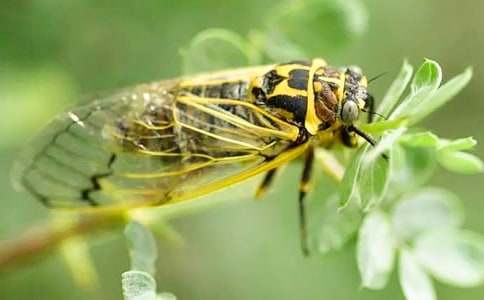 ֪�ˌW(xu��)�w��С�W(xu��)���ģ����x38ƪ��