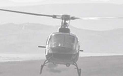 ��ֱ���w�C(j��)���꼉���ģ����x33ƪ��