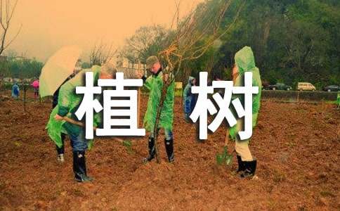 ֲ�����ֵĺ�̎900��