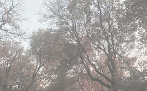 ֲ��@��ӛ��(y��u)������600�֣����x10ƪ��