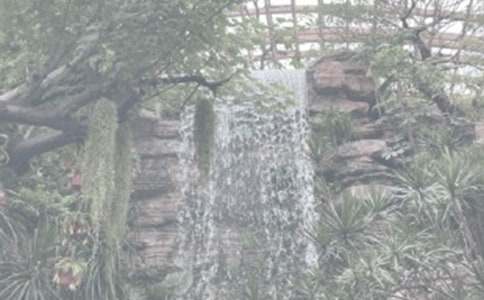 ֲ��@����֮�ó�������900��