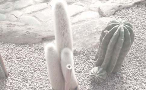 �δ��Bֲ��@