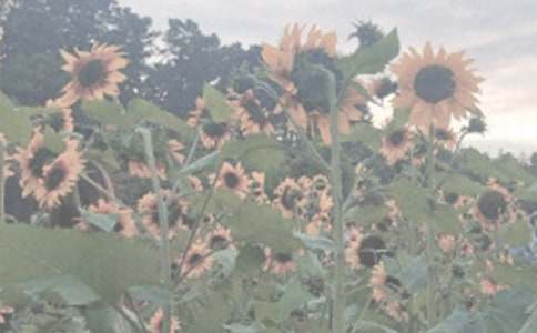 �ҵ��n�������ֲ��@800������