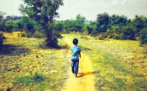 我的侄子的作文