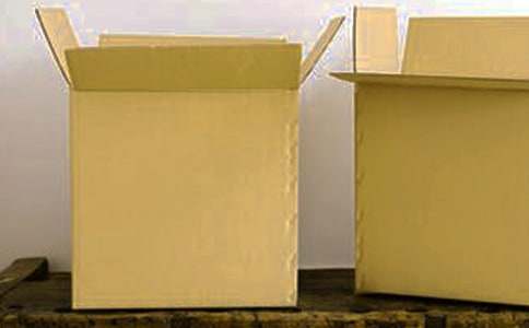 小班小刺猬運紙箱教案