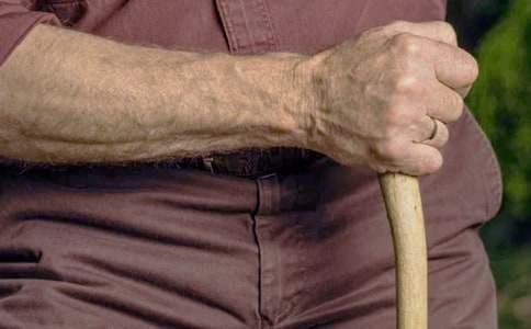 ����������ĸ�������