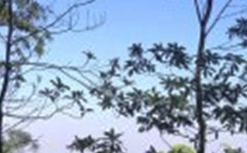 中午作文600字三篇