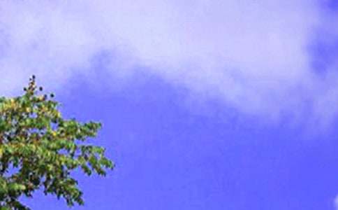 �茑��������ă�(y��u)������