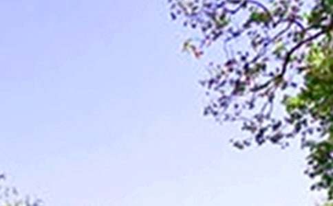 ������������ģ�ͨ��39ƪ��